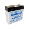 Dynavolt 12C16A3B conventionnel sec de charge de batterie